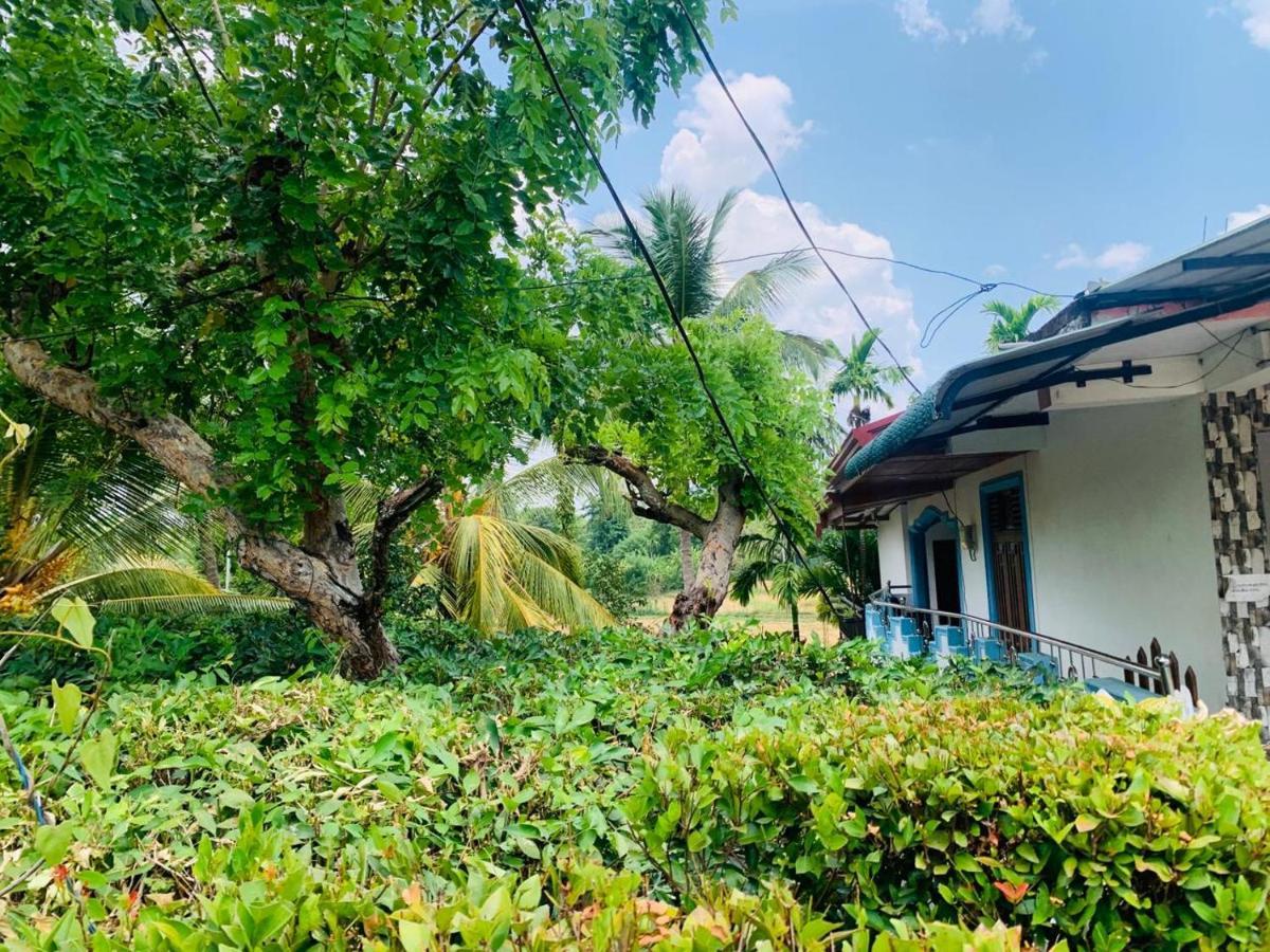 Gal Oya Lake View Inginiyagala Polwatta المظهر الخارجي الصورة