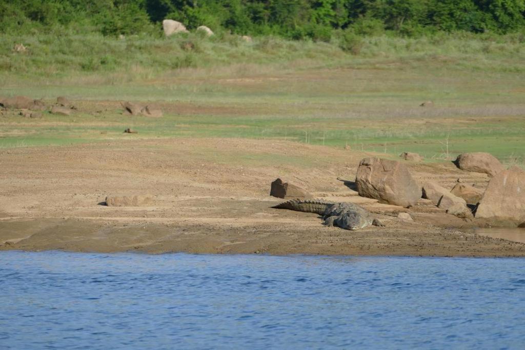 Gal Oya Lake View Inginiyagala Polwatta المظهر الخارجي الصورة